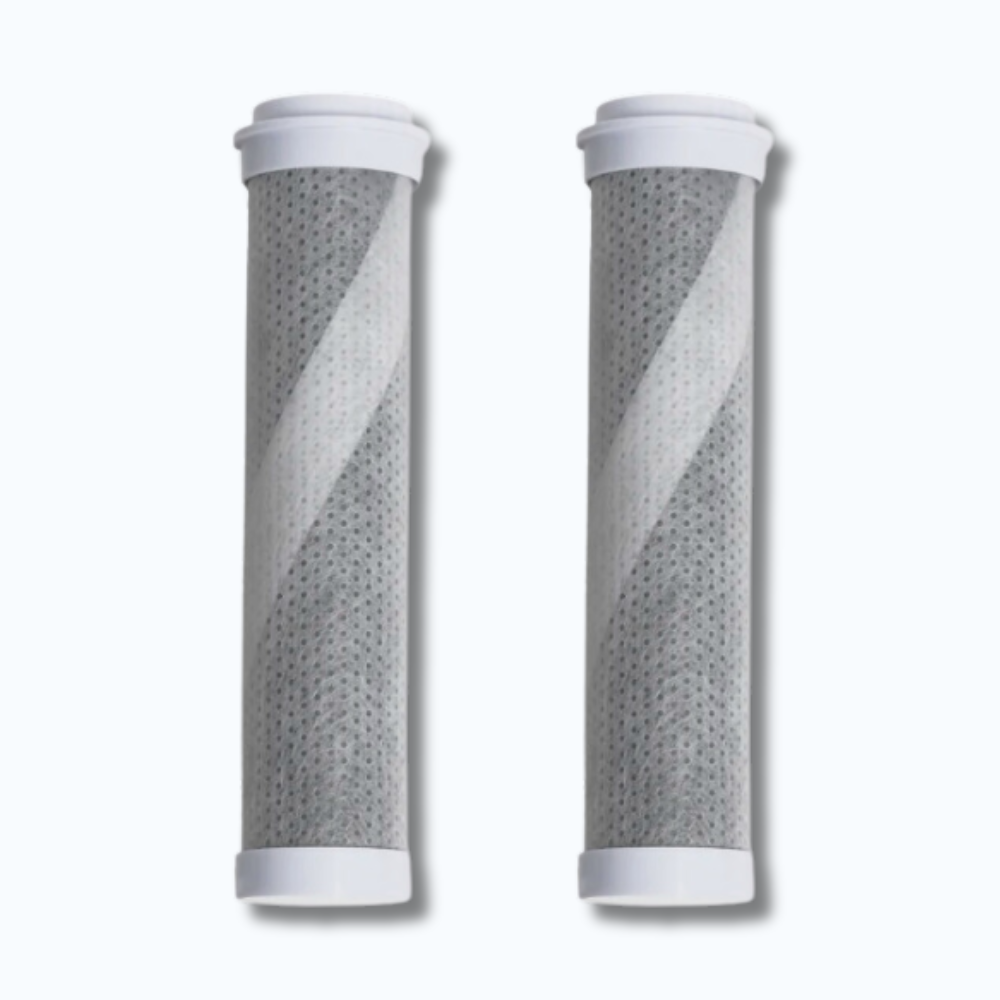 2 PACK - DERMA SHOWERHEAD FILTERS